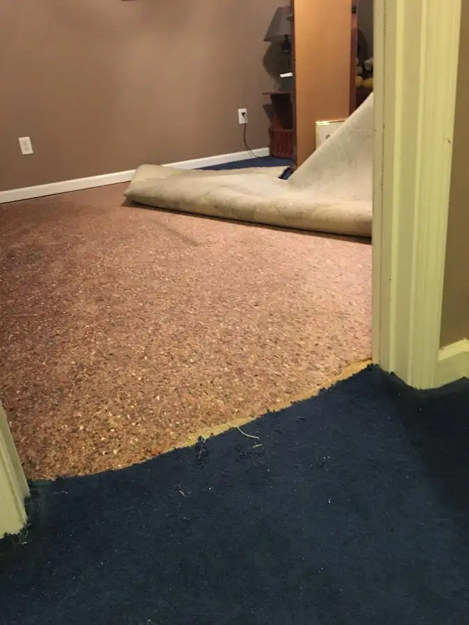 Carpet pad removal revealing water damage during Drying & Dehumidification in Hartsville-Trousdale County
